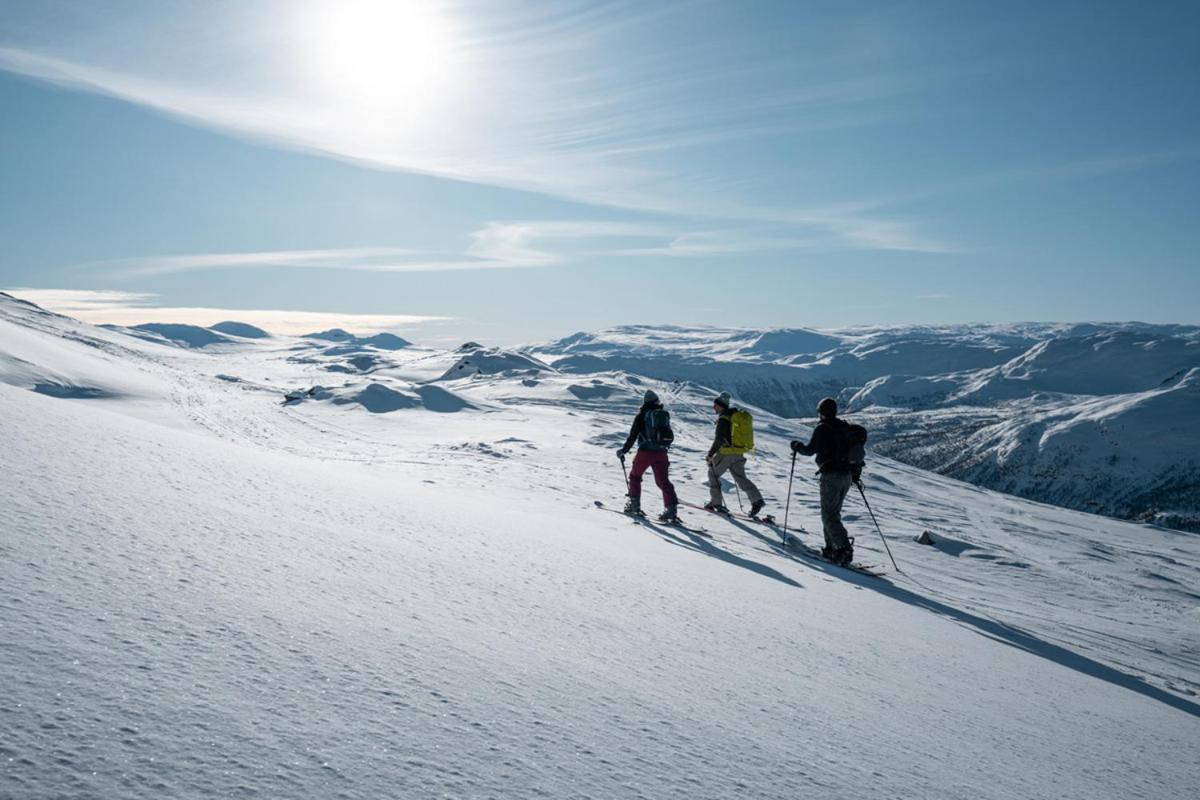 Harahorn Fjellgard Otel Grøndalen Dış mekan fotoğraf