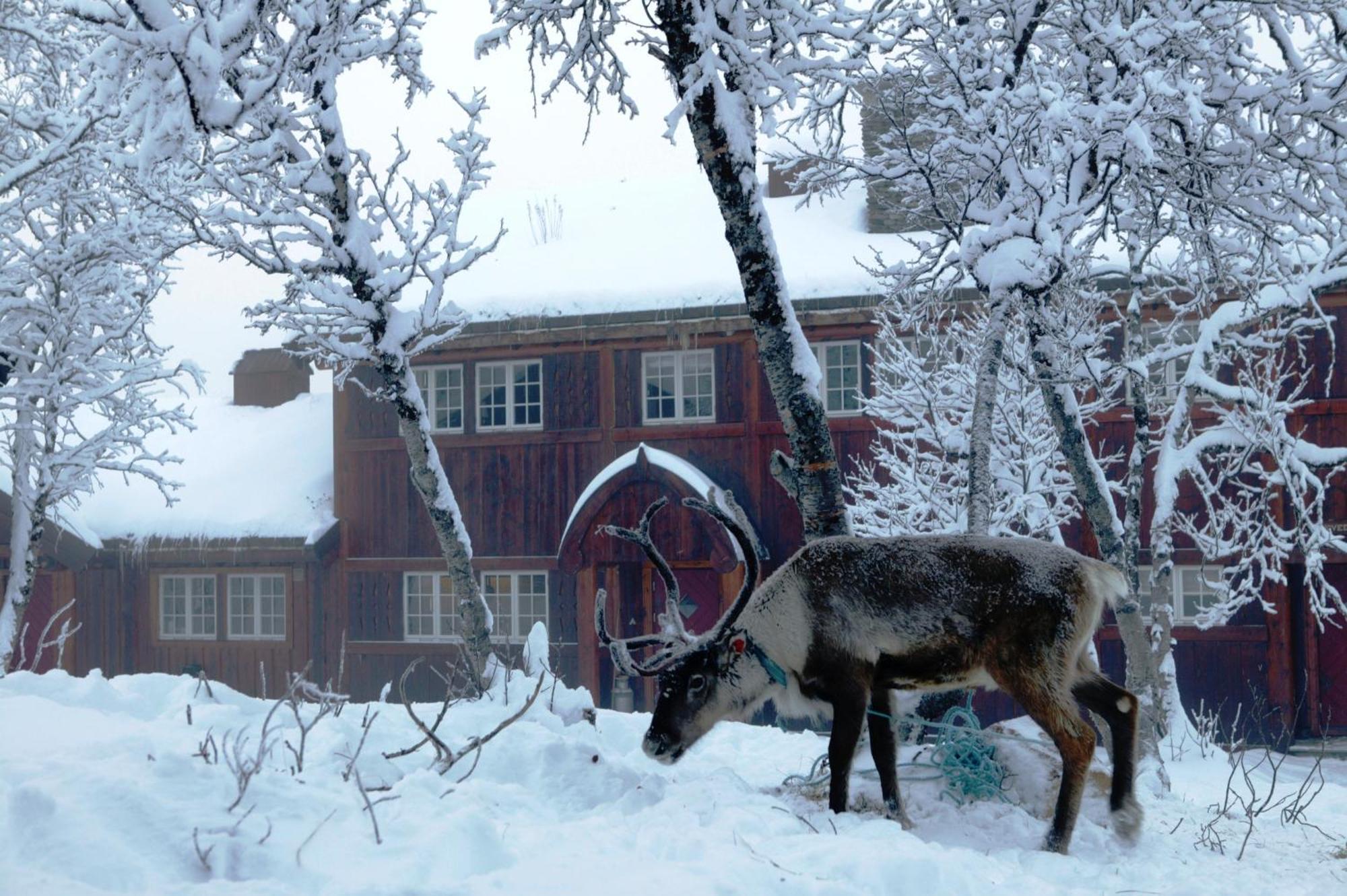 Harahorn Fjellgard Otel Grøndalen Dış mekan fotoğraf