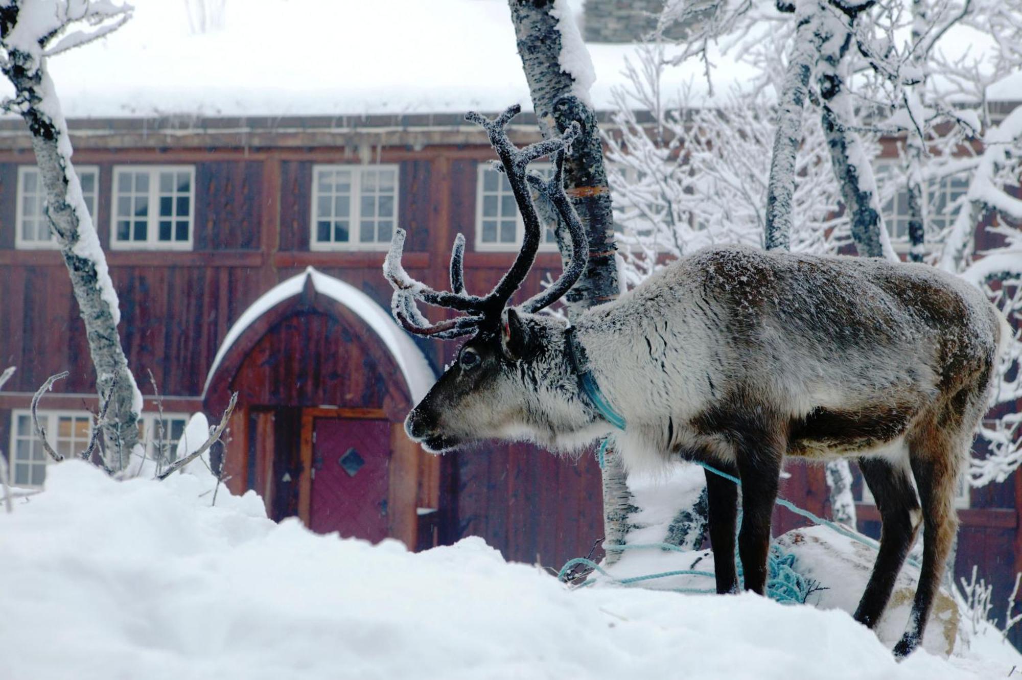 Harahorn Fjellgard Otel Grøndalen Dış mekan fotoğraf