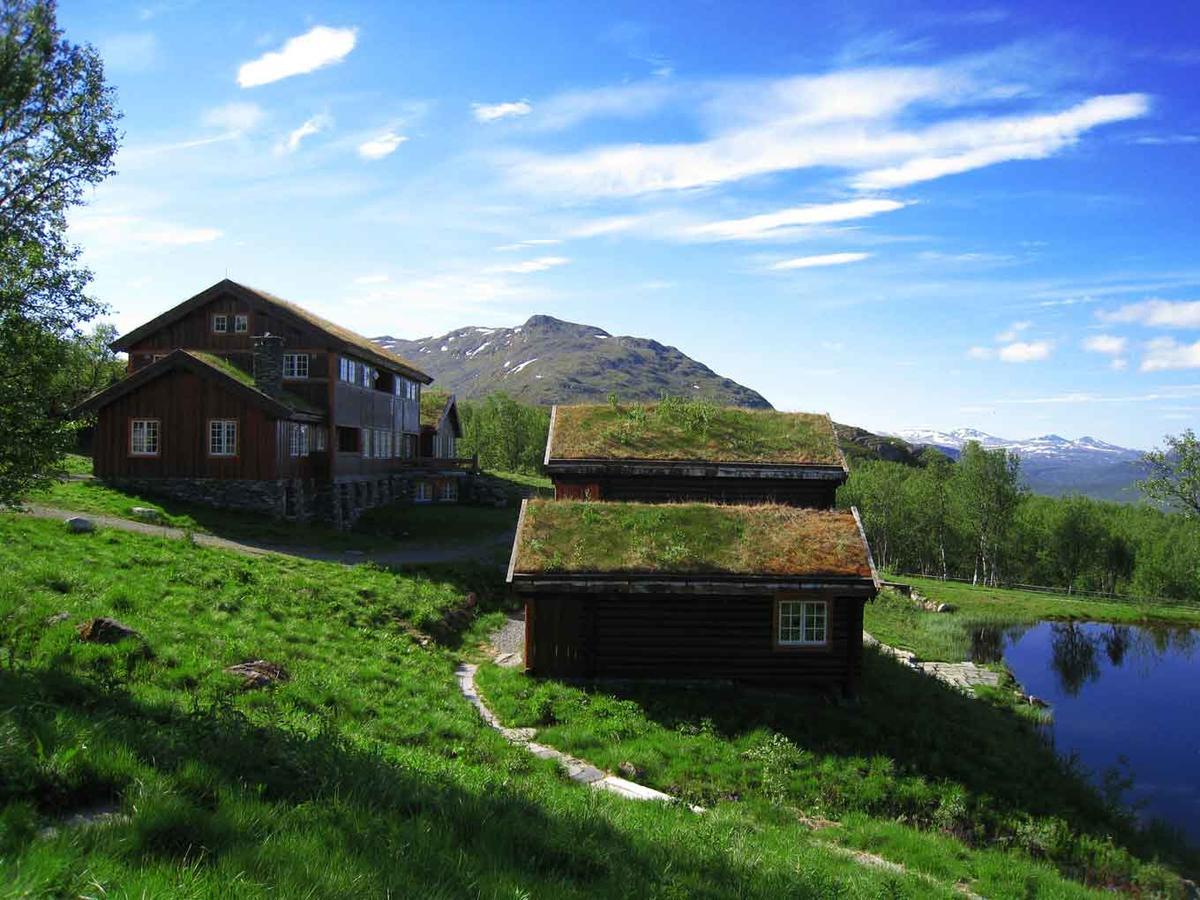 Harahorn Fjellgard Otel Grøndalen Dış mekan fotoğraf